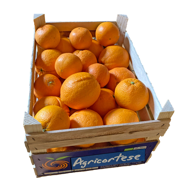 Photo_Oranges_BIO_10kg_agricortese_600